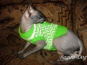 Вязаная одежда для собак и кошек "Bagira-Dog"