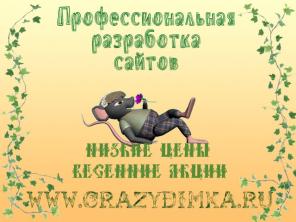 Профессиональное изготовление качественных сайтов