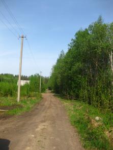 Берег Финского залива.Участок 20 соток