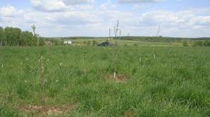 Участок у леса и озера в 54 км от МКАД по Симферопольскому ш