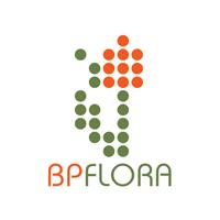 BPflora - луковицы тюльпанов, луковицы лилий, лук севок