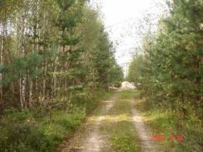 участок 12 сот- 550 тыс. руб. Горьковское ш.65 км