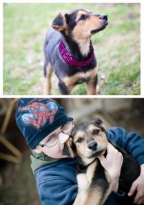 ����� ����� - ���� ������� � ������� !