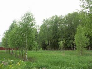Участок 18 сот., Ленинградское ш., 35 км от МКАД, д.Хоругвино