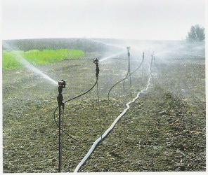 Системы полива овощей на открытом грунте.