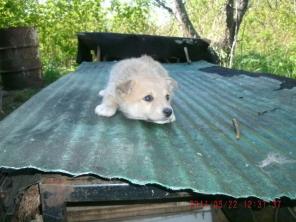 ����������-������ �������� � ������� � ���!