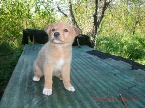 ����������-������ �������� � ������� � ���!