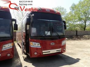 Туристический автобус Kia Granbird 2008 год