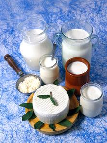 Молоко и молочные продукты
