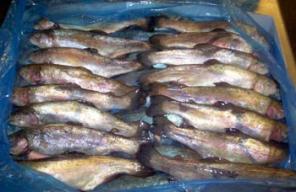 Большой ассортимент рыбопродукции