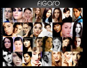    FIGARO I.M.G. 