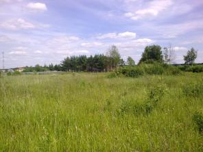 Продам участки под ИЖС в Раменском р-не, д. Минино