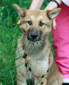 �������������� �����, 4 ������, ������� � ������ ����! ����� ��������!