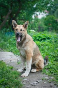 �������������� �����, 4 ������, ������� � ������ ����! ����� ��������!