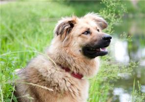 ������������ ������, �������� ���������� ������