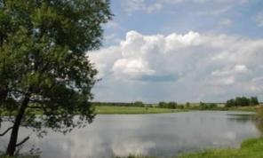 Продаю коттедж из калиброванного бревна