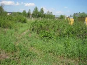 продам 6 сот в 68км от мкад по симферопольскому направлению