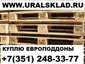 Куплю Европоддоны, европаллеты, поддоны, паллеты в Челябинской области