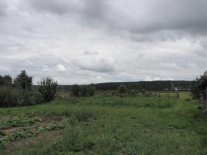 Участок 40 соток, от МКАД 33 км