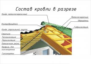 ��� ������ ���� ������