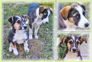 ����� ���������!