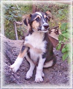 ����� ���������!