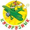 Бизнес по продаже горячей кукурузы!