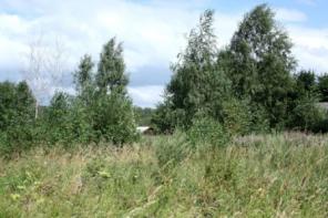 Участок 25 сот около Волги д. Казнаково Старицкого р-на Тверской обл