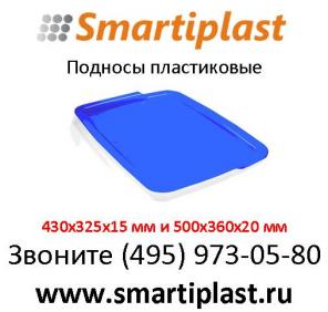 поднос пластиковый от производителя купить в москве 430х325х15 мм