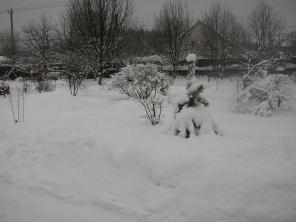 Продаю дом, баню, земельный участок по Осташковскому ш. 20 км от МКАД д. Витенево.