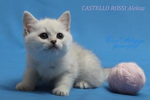 , .   Castello Rossi