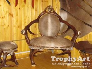 Таксидермисты. Чучела животных и птиц.