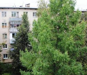 квартира однокомнатная