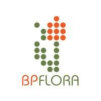 BPflora - луковицы тюльпанов, луковицы лилий, лук севок.