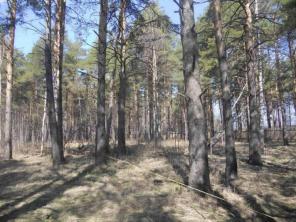 Продам участок под ИЖС дешево ! 18 км от МКАД