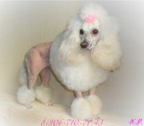 ������� ����� � ����� � ������� ������� �� ��� �� ����, ���