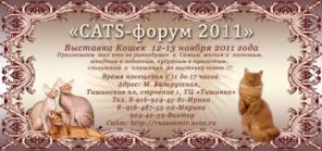 Выставка кошек «CATS-форум 2011» 12-13 ноября 2011 года