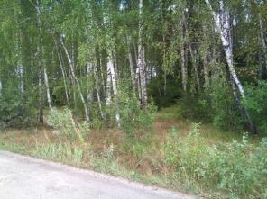 Продам участки ИЖС в Чеховском районе Моск. обл.