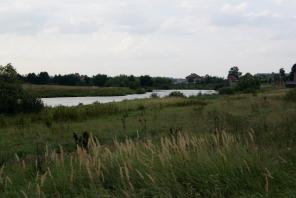 Участки ижс, Каширское ш., 25 км., Сельвачево