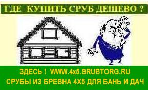 Деревянное строительство: бани и дачные домики.