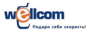 Wellcom / Велком оптом - телефоны, модемы, терминалы.