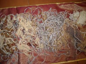 �������� ������ ������,�������� ��������,���� ����������������� �����������