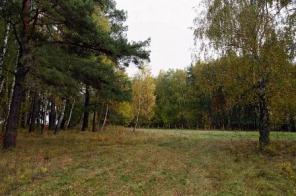 Участок 11 соток 120 км от МКАД на юг.