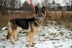 ������ � ������ ����. �������� ������� ���� ���