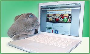 Ремонт, настройка компьютеров и ноутбуков PC&MAC, WiFi