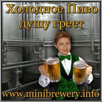 Мини пивоварня ресторанного типа