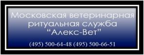 Кремация домашних животных - достойный способ похорон
