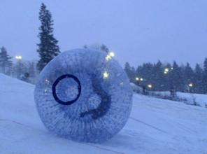  (Zorb)