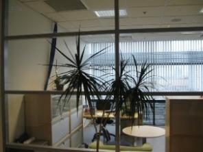 ������ ������ � ������ � ���������� �������