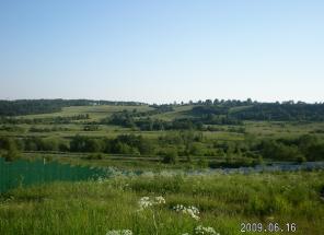 25 сот. по Ярославке в дер. Тургенево